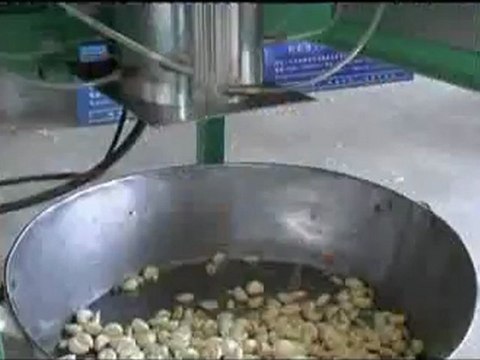 máy bóc vỏ tỏi khô, máy bóc vỏ tỏi