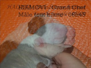 9 photos des bebes