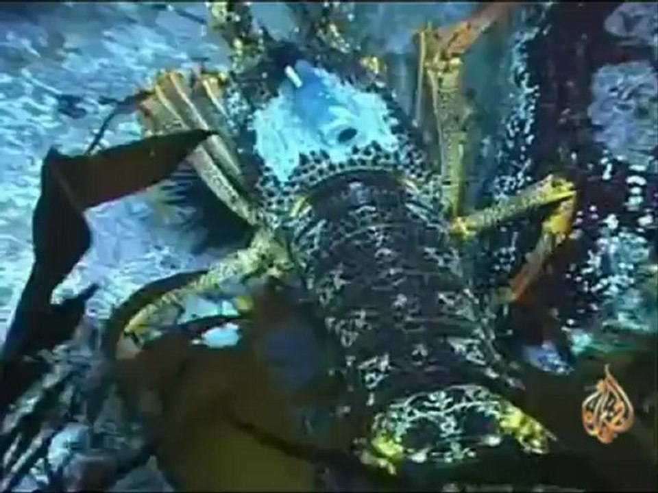 من تسمانيا ..  تغير درجة الحرارة يحدث فرقا كبيرا