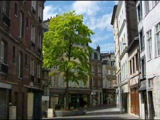 Comme un arbre dans la ville.