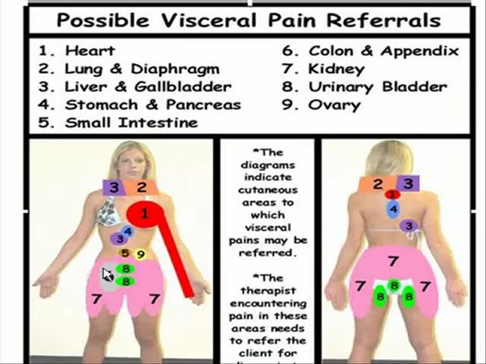 Possible Organ Referred Pain