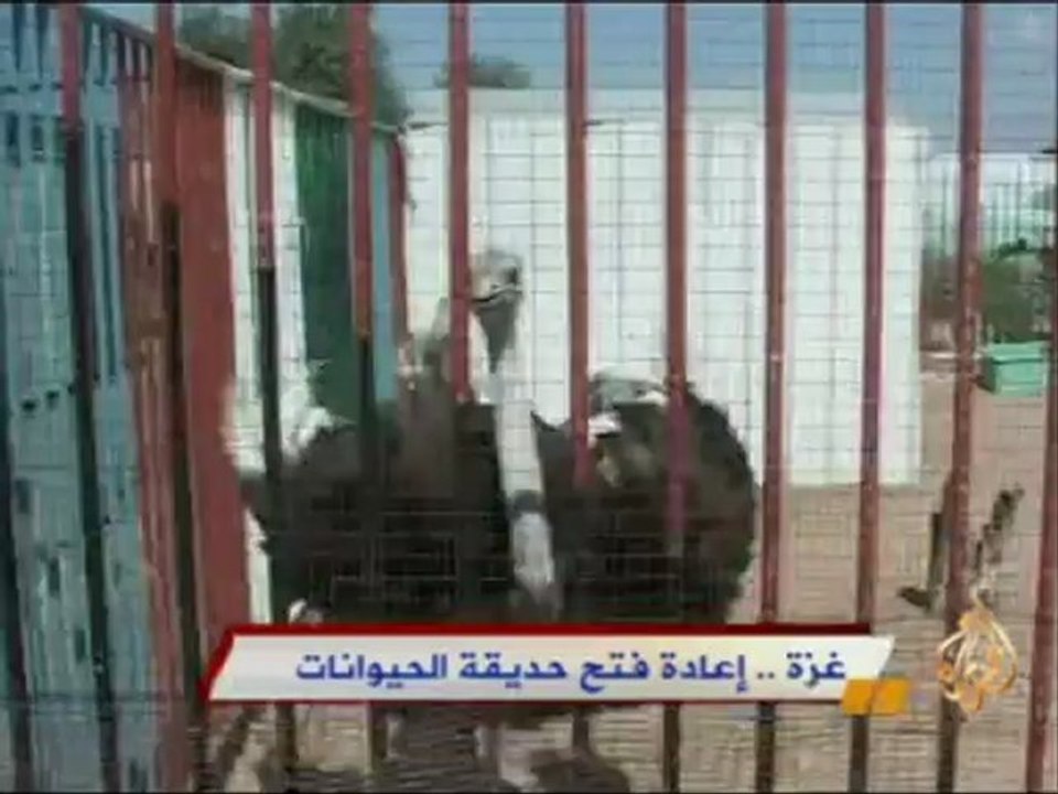 إعادة فتح حديقة الحيوانات في غزة
