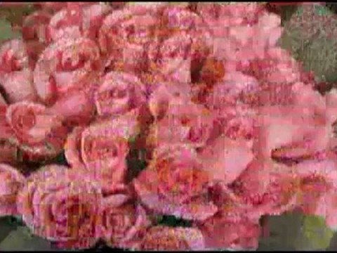 Tysiąc Róż Dla Ciebie Mam Kochana Mamo.♥♥♥♫♫mp4