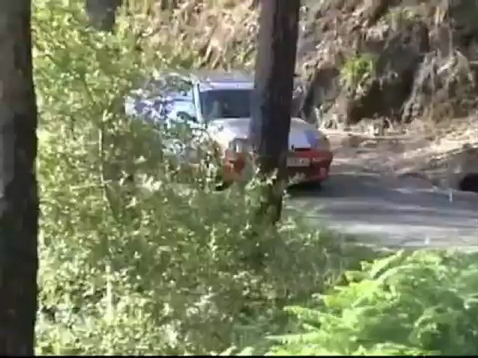 Rallye Sur do Condado 2010