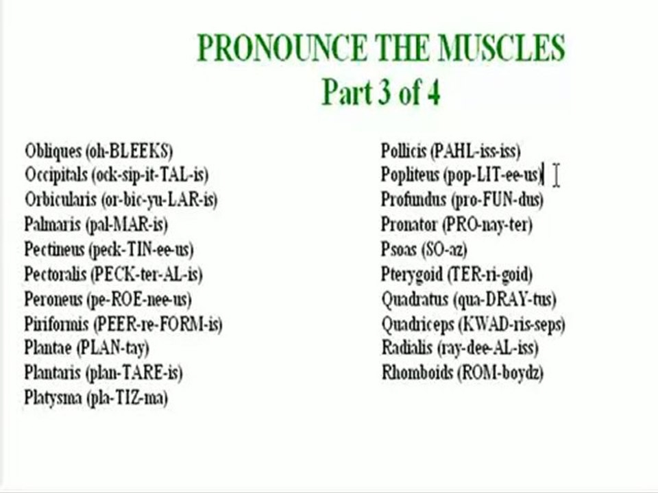 Pronounce The Muscles 3 of 4 video Dailymotion