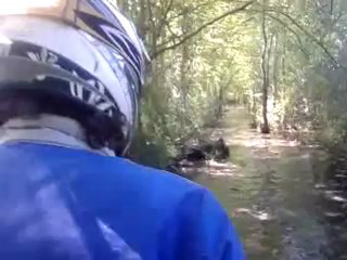 quad polaris