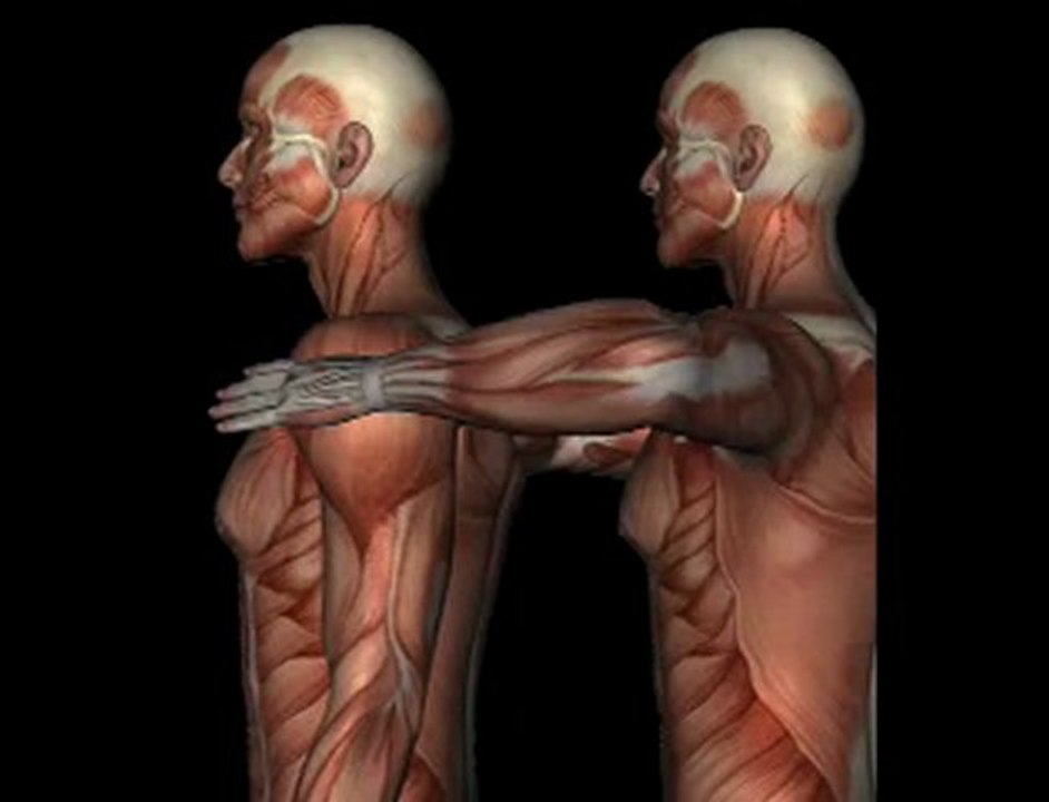 Orthopedic Test - A/C SHEAR TEST
