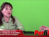 Propuestas de candidatos del PVEM