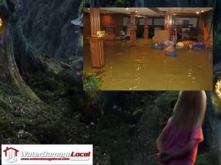 Fayetteville Water Damage Company