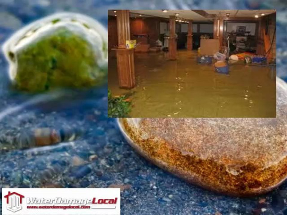 Flood Damage Largo