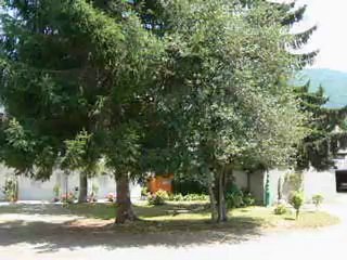 Location studio 30m2, hypercentre, expo sud, parking privé, 1er étage, à Luchon