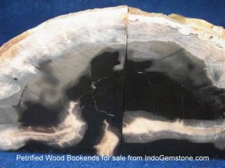 Petrified Wood Bookends