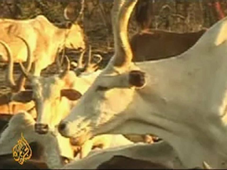 Concern over nation' s foreign 'land-grabs' - 17 Nov 09