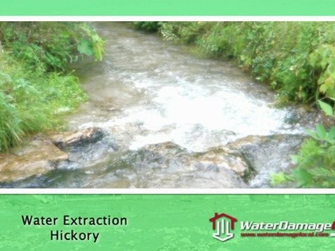 Hickory Water Extraction • Carpet Clean Up