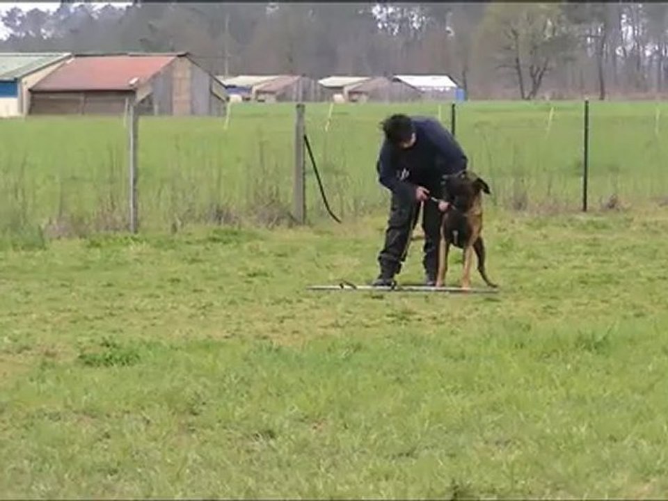 Examen ACS 3 avril 2012 - Absence du maitre