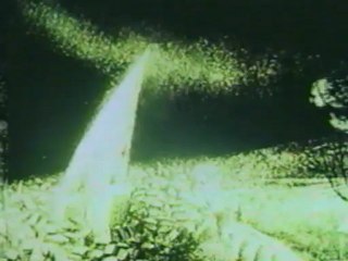 LAFERTOVSKAYA FIG-TREE 1986 lafertovskaya_makovnitsa Elena Petkevich russian animation