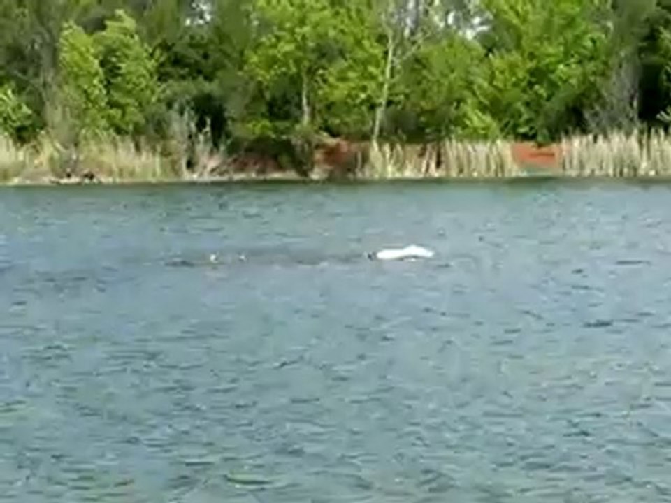 kyosho jet ski radiocommandé brushless