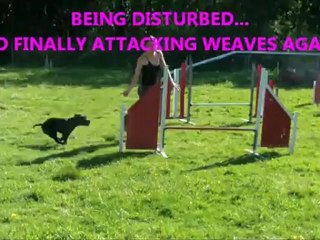 IS VODKA TOTALLY CRAZY ?! 2012-05-14