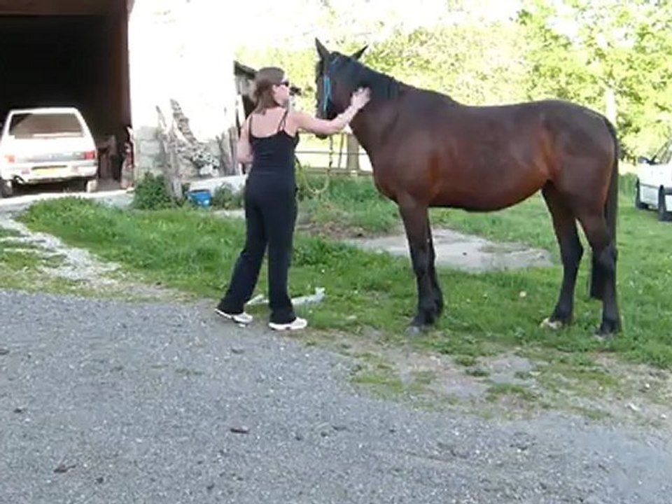 Etoile et micro-exos de la Cense...
