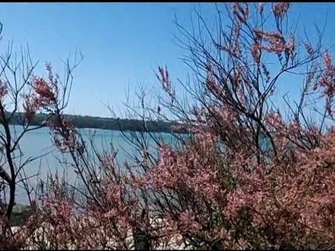 trail des ébihens 2012 à st Jacut de la mer avec mario et son petit vélo