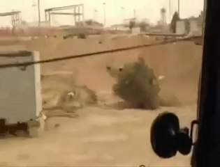 Syria فري برس  ديرالزور الميادين هام دبابات الاسد في حقل العمر14 5 2012 Deirezzor