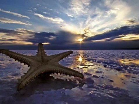 Farid Farjad- Golha ::: Gerçekten Keman Sesi Dinlemek İsteyenlere. GöNüLLL