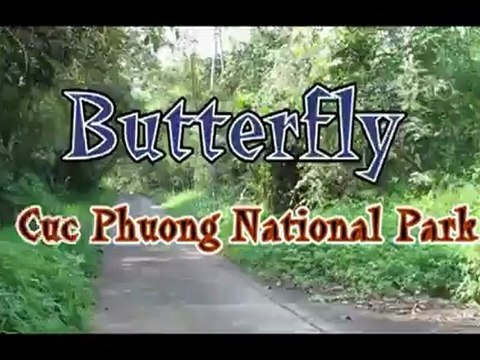 Holidays Vietnam Honeymoon Packages, Vietnam Luxury Tour, Vietnam Holiday with Vietnam Honeymoon Tours - Holidays Vietnam Honeymoon Packages, Vietnam Luxury Tour, Vietnam Holiday with Vietnam Honeymoon Tours