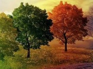 ALPAY ÜNYAYLAR-AYIŞIĞI