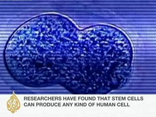 US appeals court lifts stem cell research ban