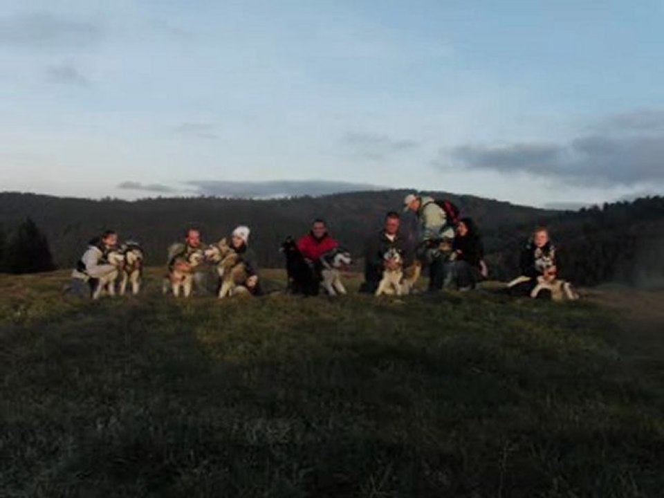 Video chiots Dakota Seeker 1 an