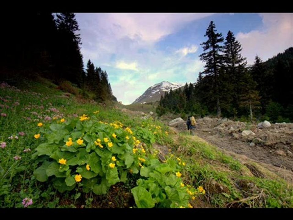 AMLAKİT SEVDALİLERİ-MAYIS-2012