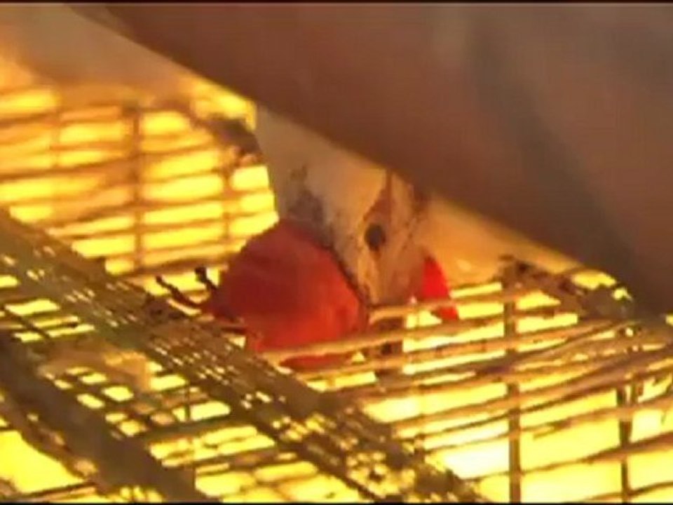 Abandoned people by Japanese government