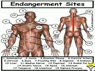 Massage Endangerment Sites