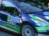 Rally Príncipe de Asturias 2010, Resumen