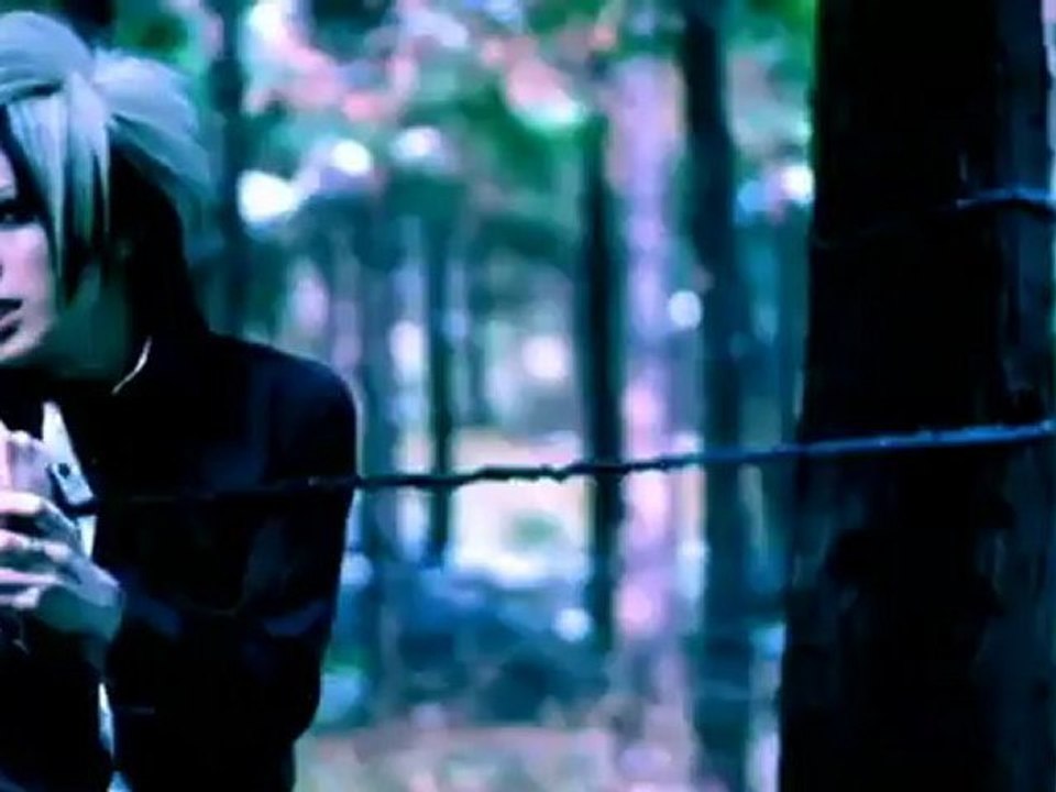 DIAURA - Lost November