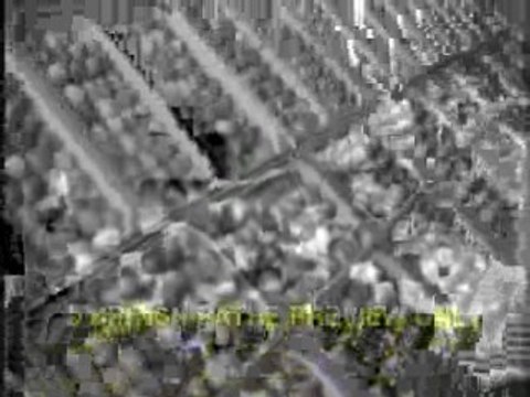 Benny Goodman in Holland