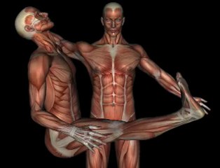 Orthopedic Test - SLUMP TEST