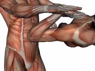 Orthopedic Test - UPPER LIMB TENSION TEST #4