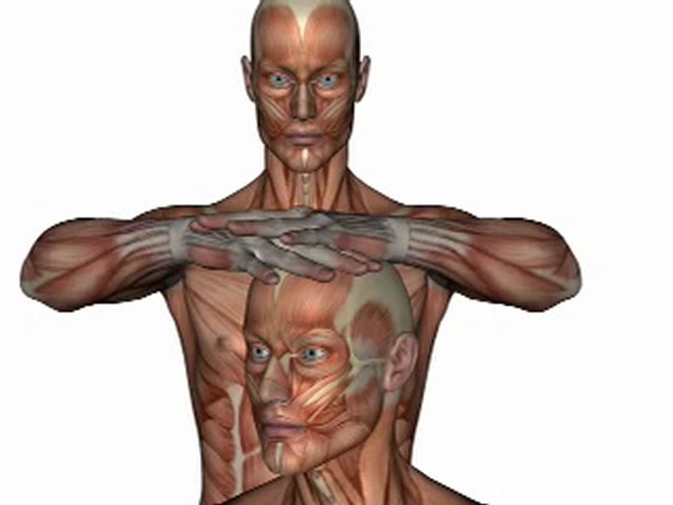 Orthopedic Test - JACKSON'S TEST