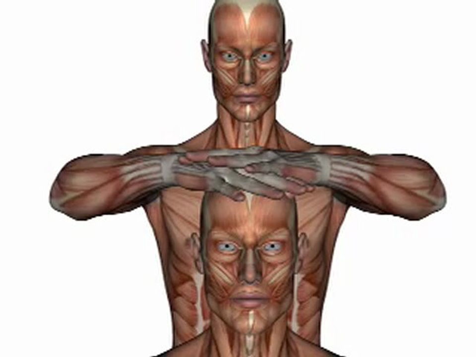 Orthopedic Test - COMPRESSION TEST