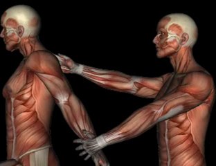Orthopedic Test - HALSTEAD MANEUVER TEST