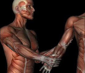 Orthopedic Test - VALGUS STRESS TEST