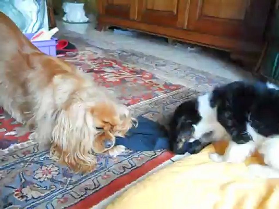 Oui on a des jouets mais quand c'est interdit on préfère