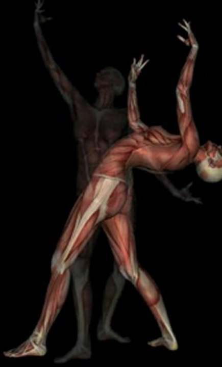 Dancing Muscles
