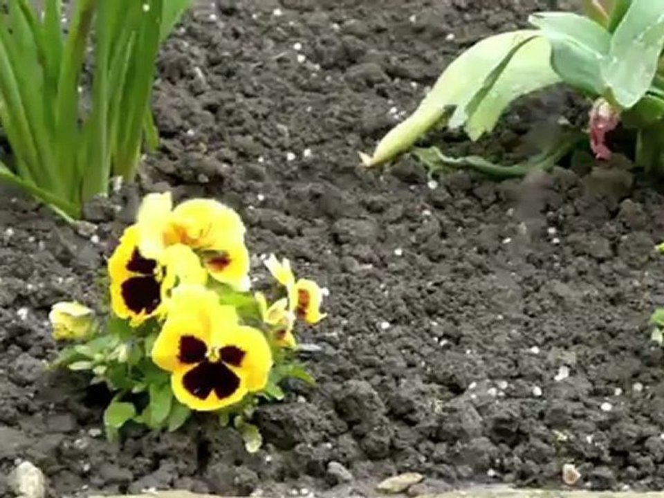 GIBOULEES DE GRELE LE 15 MAI 2012