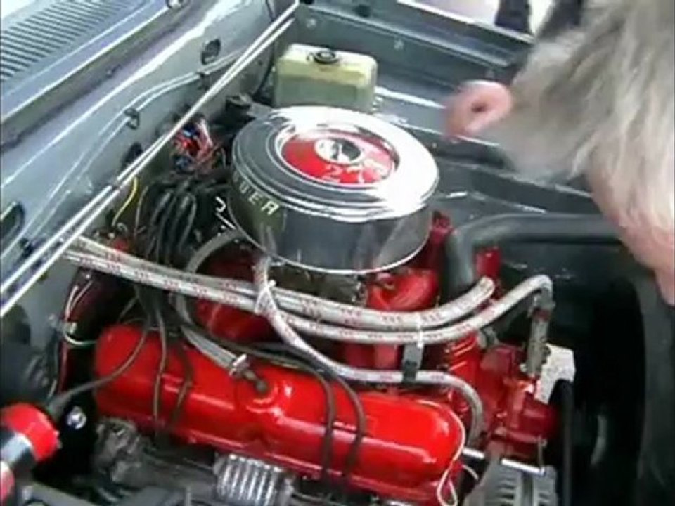 Haubentaucher pilgerfahrt hh mai 2012