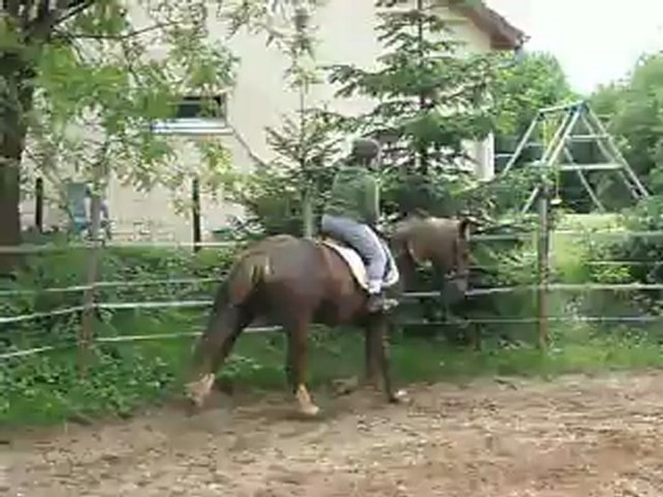 Bijou en selle