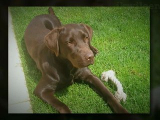 Een film van jouw vakantiefotos  Ikwileenfilm.nl