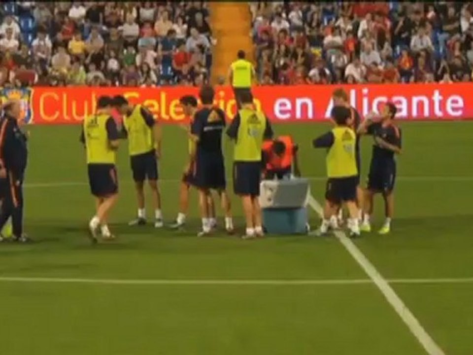 Em-aus: puyol am knie verletzt