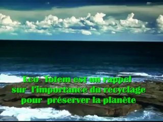 Message Eco Totem Vidéo